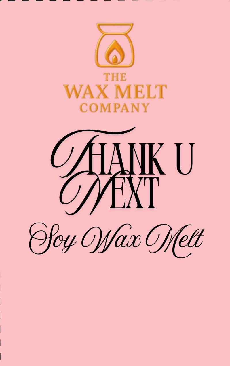 Ari Thank U Next - 6pc Wax Melt Hearts
