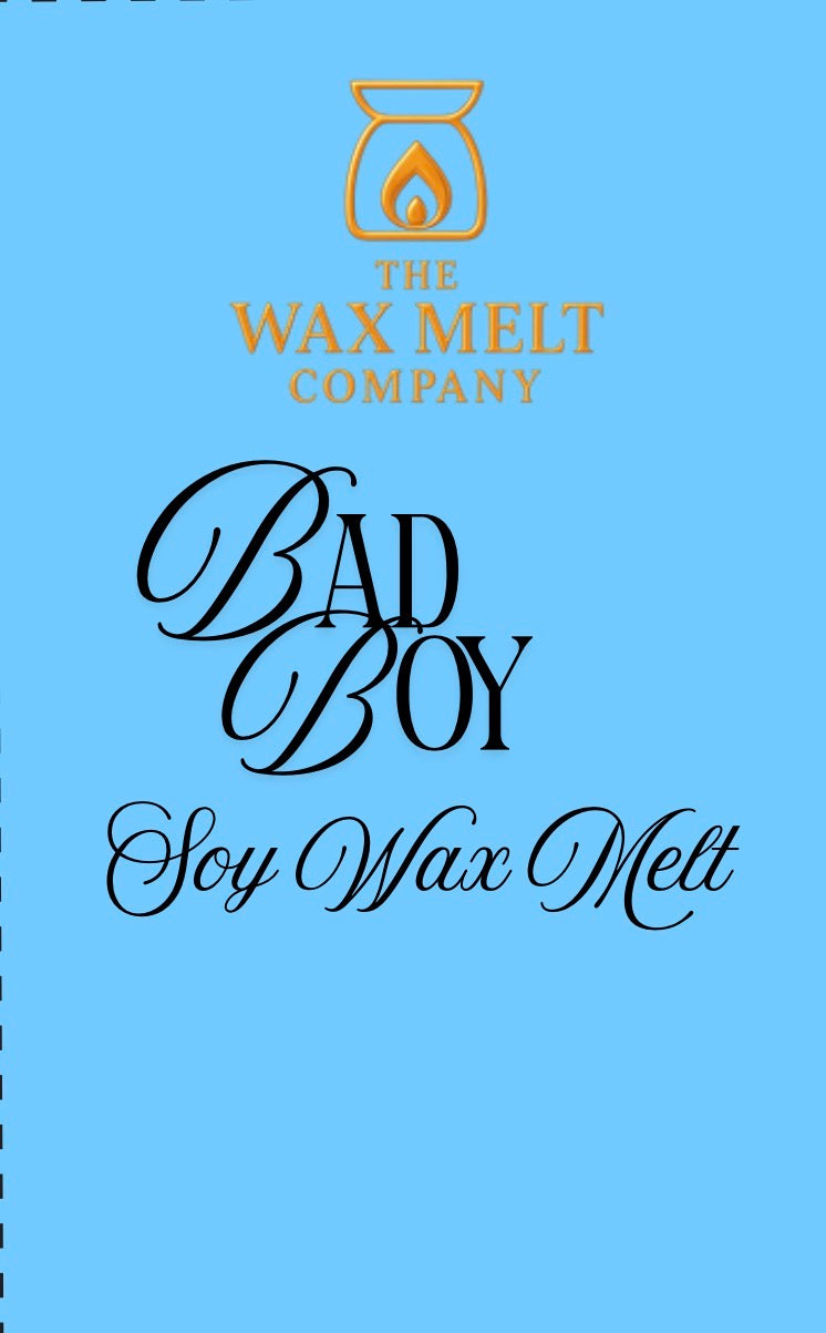 Bad Boy - 6pc Wax Melt Hearts