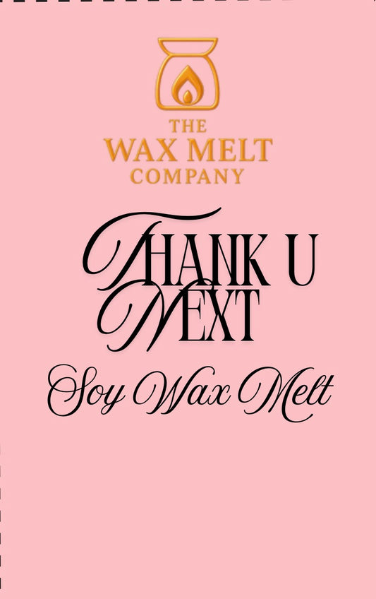 Ari Thank U Next - 6pc Wax Melt Hearts